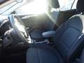 Ford Focus Turnier 1,0 EcoBoost Hybrid ST-Line X Weiß - thumbnail 10