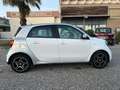 smart forFour Forfour II 2015 1.0 Proxy 71cv Alb - thumbnail 5