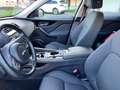 Jaguar F-Pace Pure AWD 1.Rentnerhand nur 34400KM Зелений - thumbnail 14