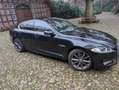 Jaguar XF 3.0 V6 Diesel S Sportbrake Netto Preis exkl. MwSt. - thumbnail 7