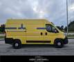 Fiat Ducato 35 2.3 MJT 130CV PM-TM Furgone 4x4 Giallo - thumbnail 5