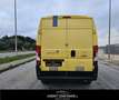 Fiat Ducato 35 2.3 MJT 130CV PM-TM Furgone 4x4 Giallo - thumbnail 8