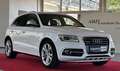 Audi SQ5 Competition quattro ACC AHK STANDHZ RFK Weiß - thumbnail 1