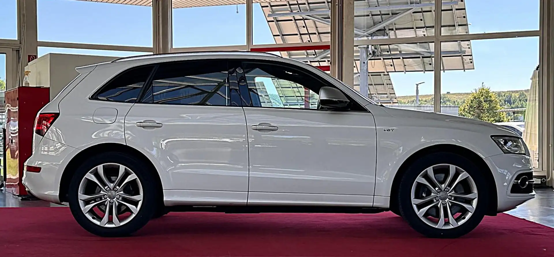 Audi SQ5 Competition quattro ACC AHK STANDHZ RFK Weiß - 2