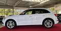 Audi SQ5 Competition quattro ACC AHK STANDHZ RFK Weiß - thumbnail 4
