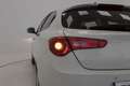 Alfa Romeo Giulietta 1.6JTD 120 Blanco - thumbnail 16