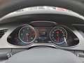 Audi A4 A4 Avant 2.0 tdi Business quattro 177cv EP171MK Marrone - thumbnail 8
