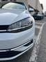 Volkswagen Golf Wit - thumbnail 5