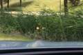BMW X3 xDrive30e M-Sport Shadow Line Pano/Leder/Laser LED Gris - thumbnail 25
