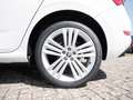 Skoda Scala 1.0 TSI Tour KLIMA PDC SITZHEIZUNG Weiß - thumbnail 5