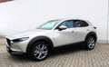 Mazda CX-30 2.5L G140PS 6AT 2WD EXCLUSIVE - LINE - thumbnail 3