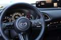 Mazda CX-30 2.5L G140PS 6AT 2WD EXCLUSIVE - LINE - thumbnail 11