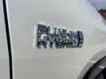Suzuki Across PLUG-IN-HYBRID ALLRAD FLASH Білий - thumbnail 7