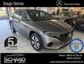 Mercedes-Benz EQA 350 4M Progressive Adv Winter LED Kamera LM Grau - thumbnail 1