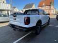 Ford Ranger Wildtrak 205 PS Automatik * Sofort Verfügbar * Weiß - thumbnail 8