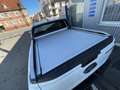 Ford Ranger Wildtrak 205 PS Automatik * Sofort Verfügbar * Weiß - thumbnail 10