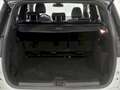 Ford Kuga 1.5TDCi Auto S&S ST-Line 4x2 120 Blanco - thumbnail 9