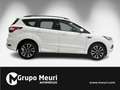 Ford Kuga 1.5TDCi Auto S&S ST-Line 4x2 120 Blanco - thumbnail 18