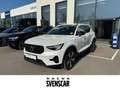 Volvo XC40 Plus Dark Recharge Plug-In Hybrid T5 Twin Engine E Weiß - thumbnail 1