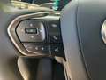 Lexus RX 350h Business Wit - thumbnail 12