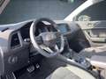 CUPRA Ateca 1.5 TSI DSG AHK/Nav/ACC/Assist/FullLink/19 Grau - thumbnail 10