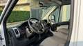 Fiat Ducato 2.3 MJT 140CV CASSONATO L 7,303m IVA Blanc - thumbnail 10
