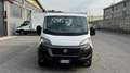 Fiat Ducato 2.3 MJT 140CV CASSONATO L 7,303m IVA Blanc - thumbnail 8