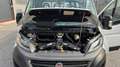 Fiat Ducato 2.3 MJT 140CV CASSONATO L 7,303m IVA Blanc - thumbnail 13