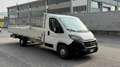 Fiat Ducato 2.3 MJT 140CV CASSONATO L 7,303m IVA Blanc - thumbnail 7