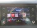 Skoda Karoq 1.5 DSG LED Kamera ACC Virtual Cockpit Blau - thumbnail 11