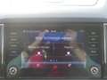 Skoda Karoq 1.5 DSG LED Kamera ACC Virtual Cockpit Blau - thumbnail 14