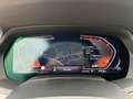 BMW X5 xDrive40d M Sport Navi Klima Leder PDC Kamera Weiß - thumbnail 10