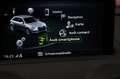 Audi RS3 SB 2.5 TFSI quatt|RS-SITZE|RS-AGA|PANO|B&O Grau - thumbnail 25