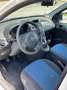 Fiat Panda Panda 1.2 Edizione Cool Blanc - thumbnail 13