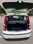 Fiat Panda Panda 1.2 Edizione Cool Blanc - thumbnail 7