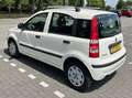 Fiat Panda Panda 1.2 Edizione Cool Blanc - thumbnail 2