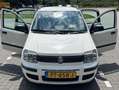 Fiat Panda Panda 1.2 Edizione Cool Blanc - thumbnail 4