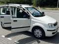 Fiat Panda Panda 1.2 Edizione Cool Blanc - thumbnail 5