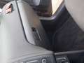 Volkswagen Polo 5p 1.4 tdi Comfortline 75cv Marrone - thumbnail 10