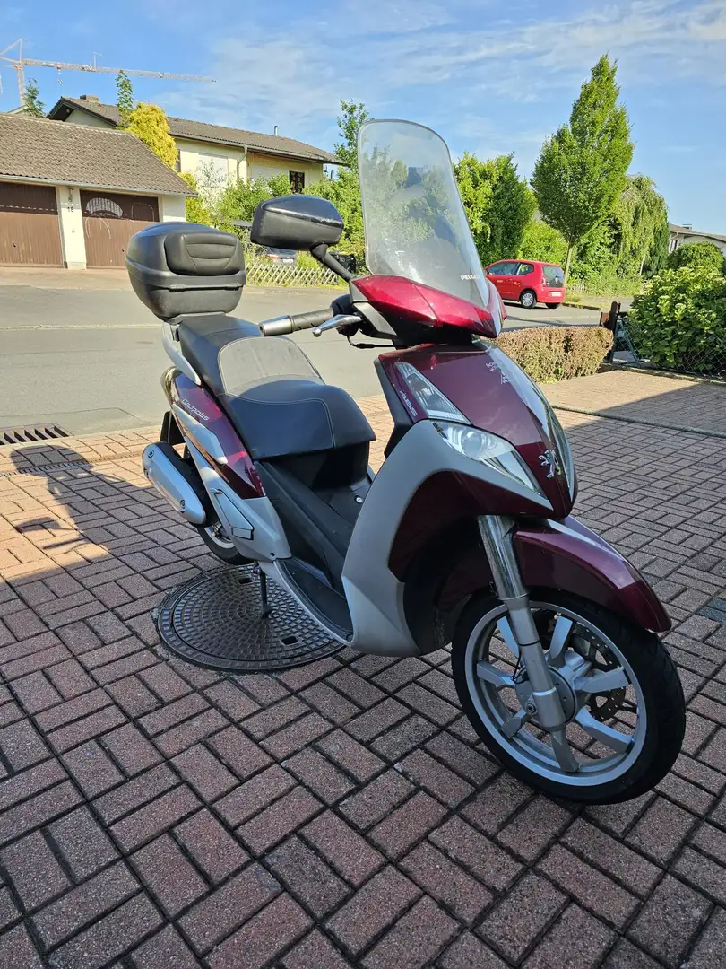 Peugeot Geopolis 250 Großradroller Rot - 1