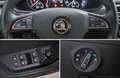 Skoda Superb 2.0 TDI *NAVI/SHZ/RFK/AHK/DSG* Bleu - thumbnail 13