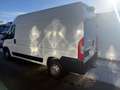Peugeot Boxer Kasten Hochraum 333 L2H2 Pro BlueHDi 140 S Blanc - thumbnail 6
