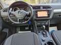 Volkswagen Tiguan 2.0 tdi Business 4motion 150cv dsg Gris - thumbnail 13