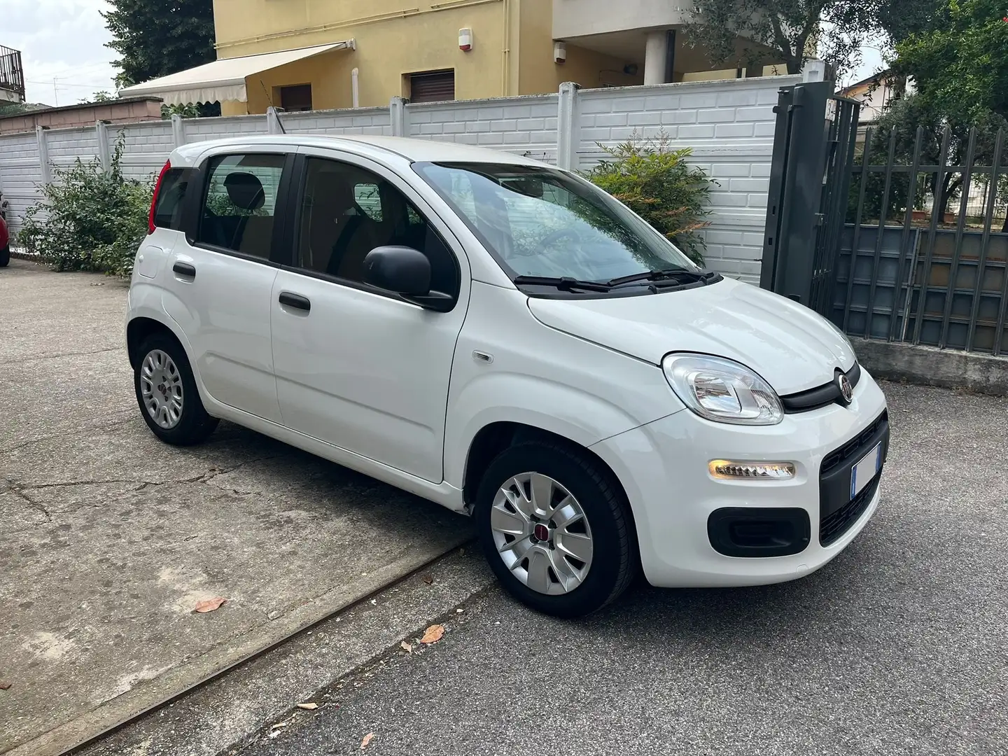 Fiat Panda 1.2 Lounge 69cv *NEOPATENTATI* Bianco - 1