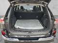Ford Kuga Vignale / PHEV / Pano / B&O Schwarz - thumbnail 7