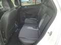 Volkswagen T-Cross Goal 1.0 TSI DSG / Navi, ParkAssi, AHK Weiß - thumbnail 8