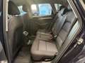 Audi Q5 Q5 2.0 TDI 190 CV quattro S tronic Blu/Azzurro - thumbnail 10