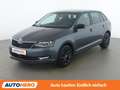 Skoda Rapid/Spaceback 1.0 TSI Sport Grau - thumbnail 1