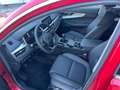DR Automobiles DR6.0 APERTI AD AGOSTO Rot - thumbnail 3