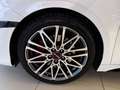 Kia ProCeed / pro_cee'd 1.6 T-GDI DCT7 OPF GT Weiß - thumbnail 6